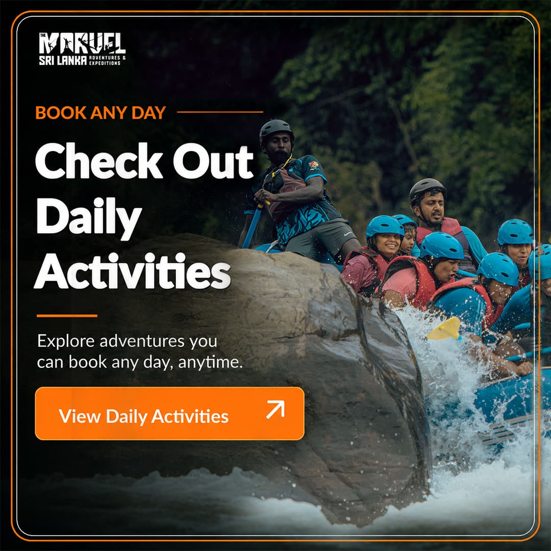 Check out daily activities - book any day